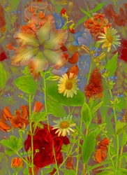 Artfloral nr.5 lentepraat, 2016 (foto)