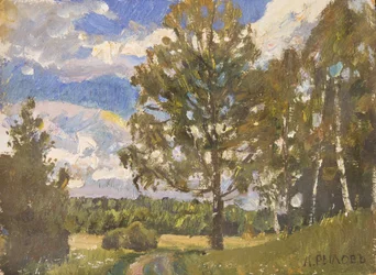 Zomerlandschap