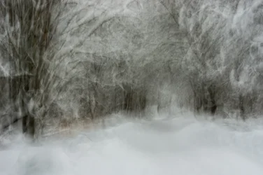 Dromerig besneeuwd pad