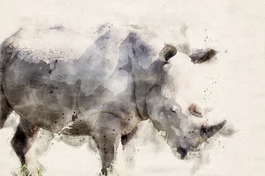 Sierlijke neushoorn in aquarel