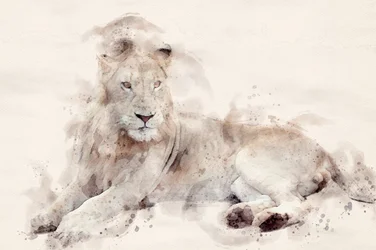 Majestueuze witte leeuw, aquarel