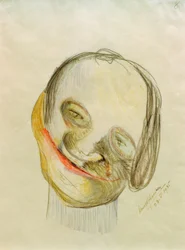 Karikatuur 8