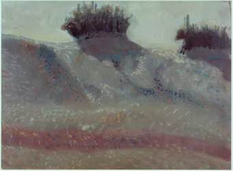 Landschap