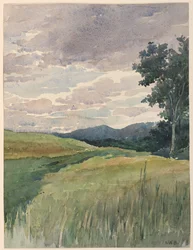 Landschap van het Platteland