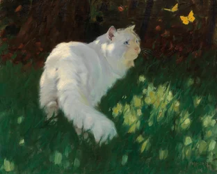 Witte kat en vlinders