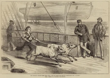 De reis van de prins naar huis vanuit India, leven aan boord van de Serapis, het oefenen van de Gainees