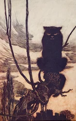 Overdag veranderde ze zichzelf in een kat, uit De Sprookjes van de Gebroeders Grimm, pub. 1909
