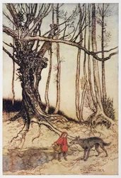 Roodkapje en de wolf in het bos