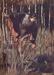 De vissen, in hun vreugde, strekten hun hoofden boven het water uit en beloofden hem te belonen, uit De Sprookjes van de Gebroeders Grimm, uitgegeven 1909