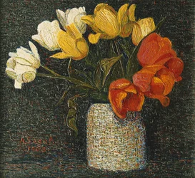 Tulp