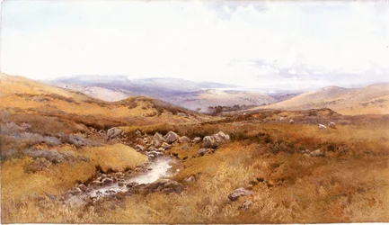 Op de Windermere Heuvels