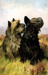 Naar het Gras