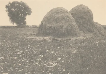 Hooibergen, Ipswich
