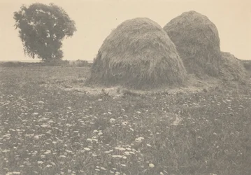 Hooibergen, Ipswich,c. 1894 (foto)