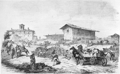 Slag om basisch fuchsine 1859