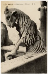 Waterspuwer of chimère van de kathedraal Notre Dame de Paris, gebouwd tussen 1163 en de 14e eeuw - Ansichtkaart, Selva collectie