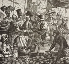 Geschiedenis van Engeland (19e eeuw). Kolonisatie (1880). Bahama verkoopt ananassen. Engelse kolonie op New Providence Island. Ananassen waren een van de belangrijkste exportproducten uit de haven van Nassau. Gravure. Privécollectie