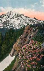 De sleutelbloem op Mount Rainier, ca. 1916