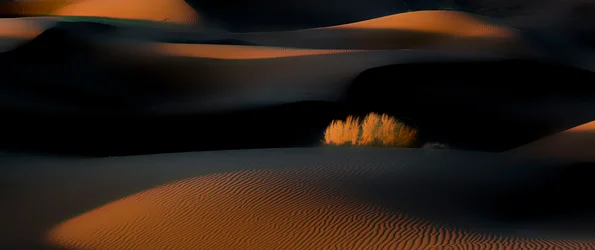 Golden Hour: Woestijnduinen