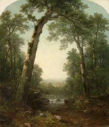Bosbeek met Uitzicht