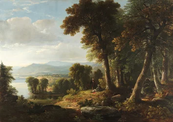 Landschap