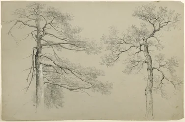 Studie van twee bomen, Hague, Lake George, New York, 1862