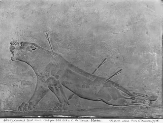 Gewonde leeuwin, detail van een reliëfpaneel dat Ashurbanipal II toont die leeuwen doodt, uit het Paleis van Ashurbanipal II, Nimrud, Irak, Neo-Assyrisch, 668-627 v.Chr.