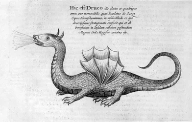 Draak, 1678