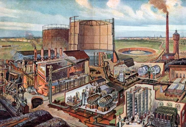 Gasplant, ca. 1880 (illustratie)