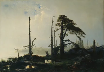 Meer in mist