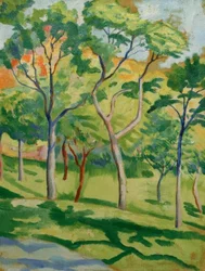 Bomen in de Weide