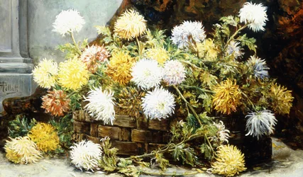 Chrysanten in een mand