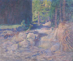 Slapende torrent