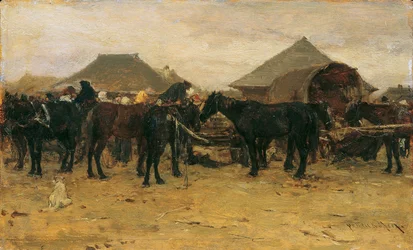 Paardenmarkt in Szolnok I