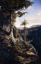 Jala-Jala Bos