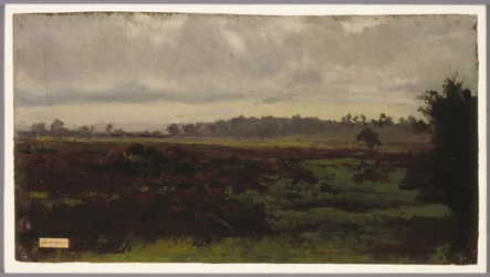 Moeraslanden