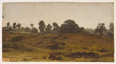 Uitzicht op een Veld