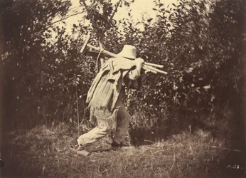 Boer