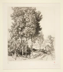 De vallei van de Petit Morin nabij Verdelot (Seine-et-Marne)