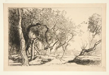 Les arbres tordus (Saint-Jean-de-Monts) (Kromme bomen [Saint-Jean-de-Monts])