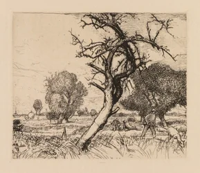 Auguste Lepère: De Dode Appelboom (Picardië)