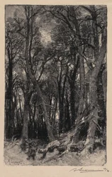 Fontainebleau Bos: Bas-Bréau