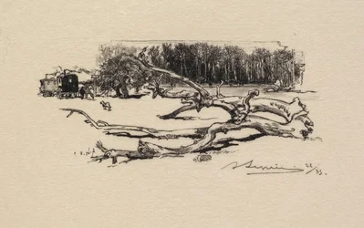 Fontainebleau Bos: Carrefour de l