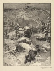 Fontainebleau Bos: Cuvier-Châtillon Klif