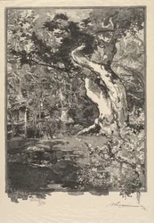 Fontainebleau Bos: Plateau de Bellecroix, de Clovis