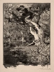 De Clovis, Plateau van Bellecroix