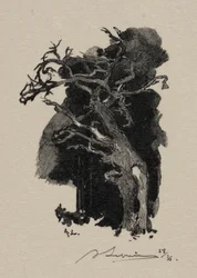De woedende