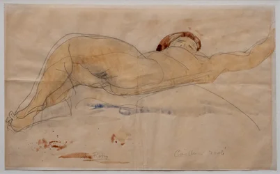 Liggend vrouwelijk naakt