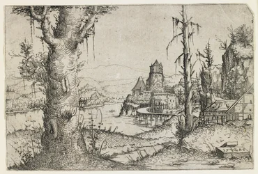 Grote boom en kasteel aan een meer