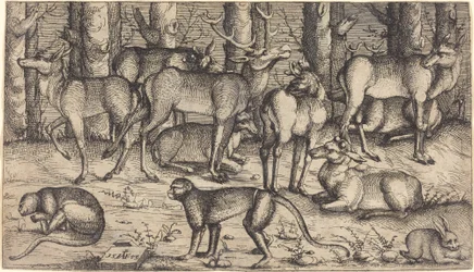 Herten in het bos